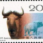 (4-2), Twisted-horn Antelope(Budorcas taxicolor), 20 fen, 40*30 mm