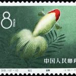 1960-S38-(12-10) Goldfish, 8 fen, 36*25.5 mm