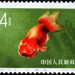 1960-S38-(12-4) Goldfish, 4 fen, 36*25.5 mm