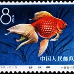 1960-S38-(12-5) Goldfish, 8 fen, 36*25.5 mm