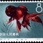 1960-S38-(12-9) Goldfish, 8 fen, 36*25.5 mm