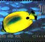 (8-3), Chaetodon plebeius, 200 fen, 50*30mm