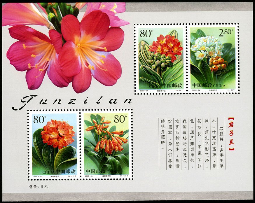 2000-24M, Clivia《君子兰》