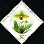 2001-18, Paphiopedilum《兜兰》