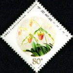 2001-18, Paphiopedilum《兜兰》