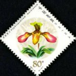 2001-18, Paphiopedilum《兜兰》