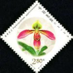 2001-18, Paphiopedilum《兜兰》