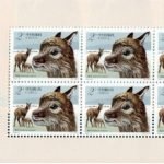 2003-12, Tibetan Antelopes《藏羚》-2
