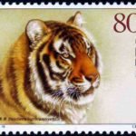 2004-19, South China Tiger《华南虎》