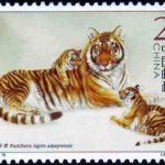 2004-19, South China Tiger《华南虎》