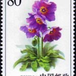 2004-18, Celery wormwood《绿绒蒿》