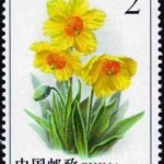 2004-18, Celery wormwood《绿绒蒿》