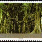 (12-8), Rain Forest in Southern Yunnan, 80 fen, 50*30 mm