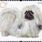 (4-1), Pekingese, 80 fen, 44*33 mm