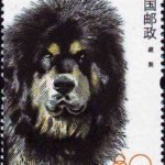 (4-4), Tibetan Mastiff, 80 fen, 33*44 mm