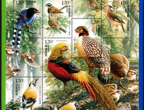 WILDLIFE