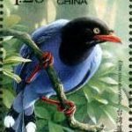 (6-1), Taiwan Blue Magpie, 120 fen, 30 * 40