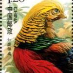 (6-5), Golden Pheasant, 120 fen, 30 * 40 mm