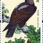 (4-1), Aquila heliaca, 120 fen, 31 * 52 mm