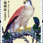 (4-4), Falco tinnunculus, 150 fen, 52 * 31 mm