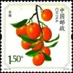 (4-4), Kumquat, 150 fen, 33 * 33 mm