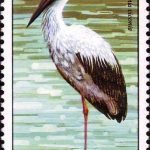 (2-2), Ciconia Ciconia, 160 fen, 31*52mm