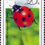 (4-1), Coccinella Septempunctata, 20 fen, 30*40mm