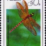 (4-2), Sympetrum Croceolum, 30 fen, 30*40mm