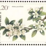 (4-1), Qiuzi (Malus Prunifolia), 120 fen, 40 * 30 mm
