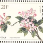 (4-4), Sanye Haitang (Malus Sieboldii), 120 fen, 40 * 30 mm