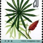 (6-5), Tiannanxin, 30 fen, 30*40 mm