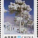 (2-2), Trees with Soft Rime look like Jade Trees, 50 fen, 30*40mm