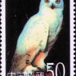 (4-3), Owl, 50 fen, 30*40mm