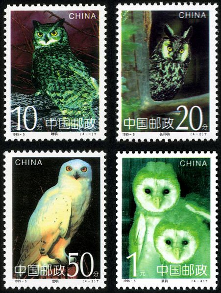 1995-05, Owls《鸮》