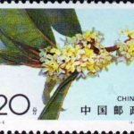 (4-2), Sweet-scented Osmanthus, 20 fen, 40*30mm