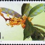 (4-4), Sweet-scented Osmanthus, 100 fen, 40*30mm