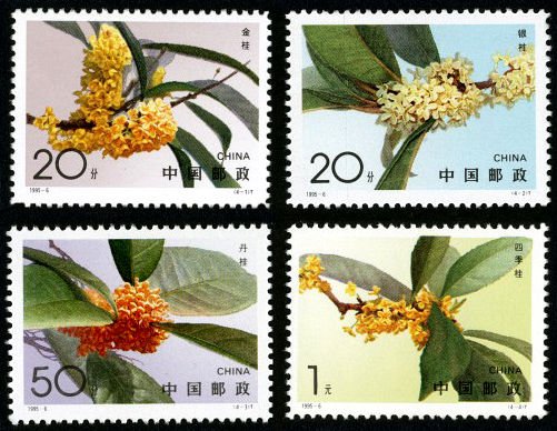 1995-06, Sweet Osmanthus《桂花》