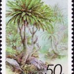 (4-3), Cycas pectinata Hamilton, 50 fen, 30*40mm