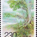 (4-4), Cycas multipinnata C.J. Chen et S.Y. Yang, 230 fen, 30*40mm