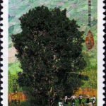 (4-1), Tea Tree, 50 fen, 30*50mm