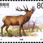 (2-1), Red Deer, 80 fen, 40*30mm