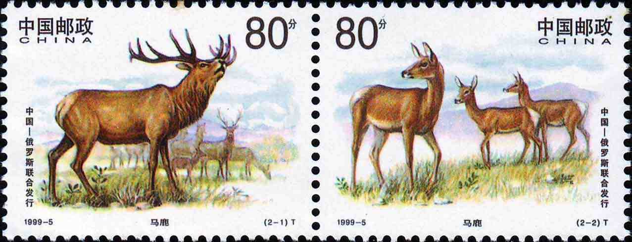 1999-05, Red Deer (jointly issued by China and Russia)《马鹿》