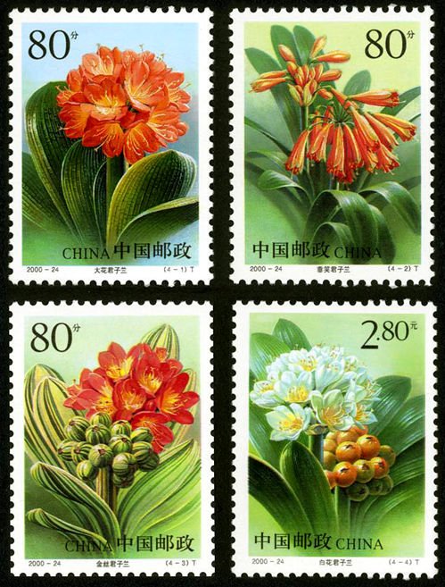 2000-24, Clivia《君子兰》