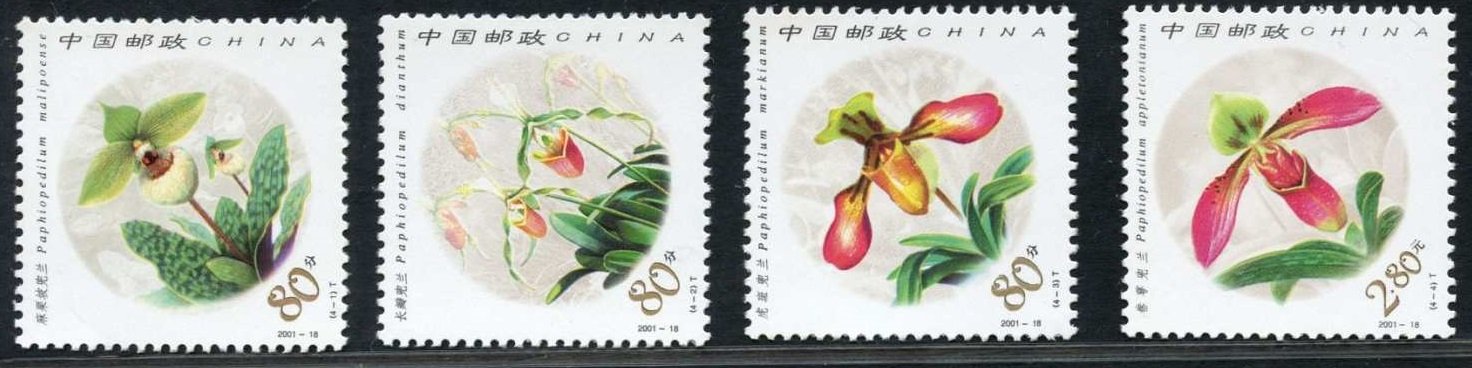 2001-18, Paphiopedilum《兜兰》