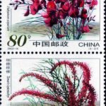2002-14, Desert Plants《沙漠植物》