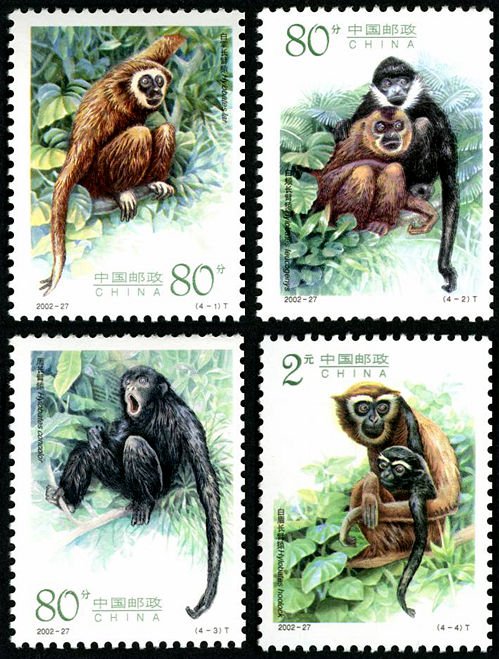2002-27, Gibbons《长臂猿》