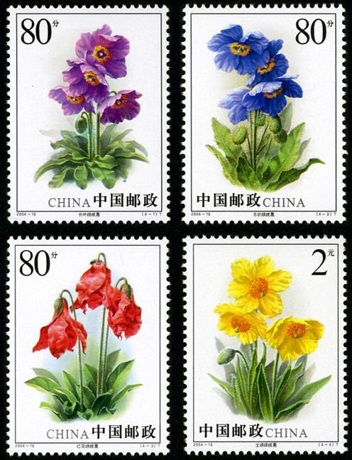 2004-18, Celery wormwood《绿绒蒿》