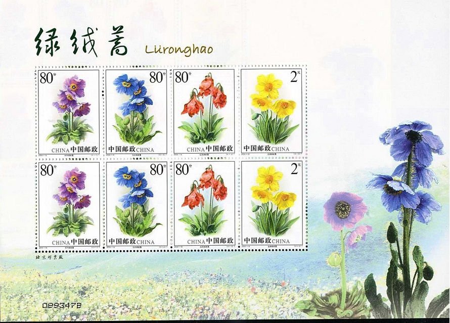 2004-18, Celery wormwood《绿绒蒿》