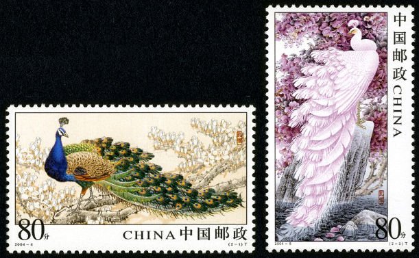 2004-06, Peafowl《孔雀》