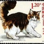 (4-2), Maine Coon, 120 fen, 40 * 33 mm